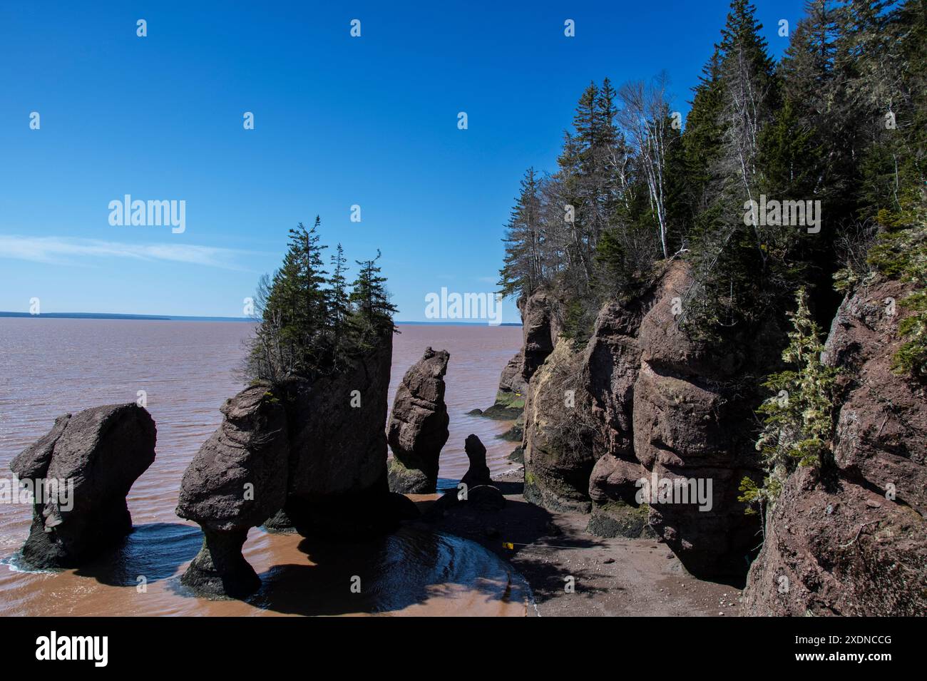 Vasi di fiori di Sea Stacks presso l'Hopewell Rocks Provincial Park di Hopewell Cape, New Brunswick, Canada Foto Stock