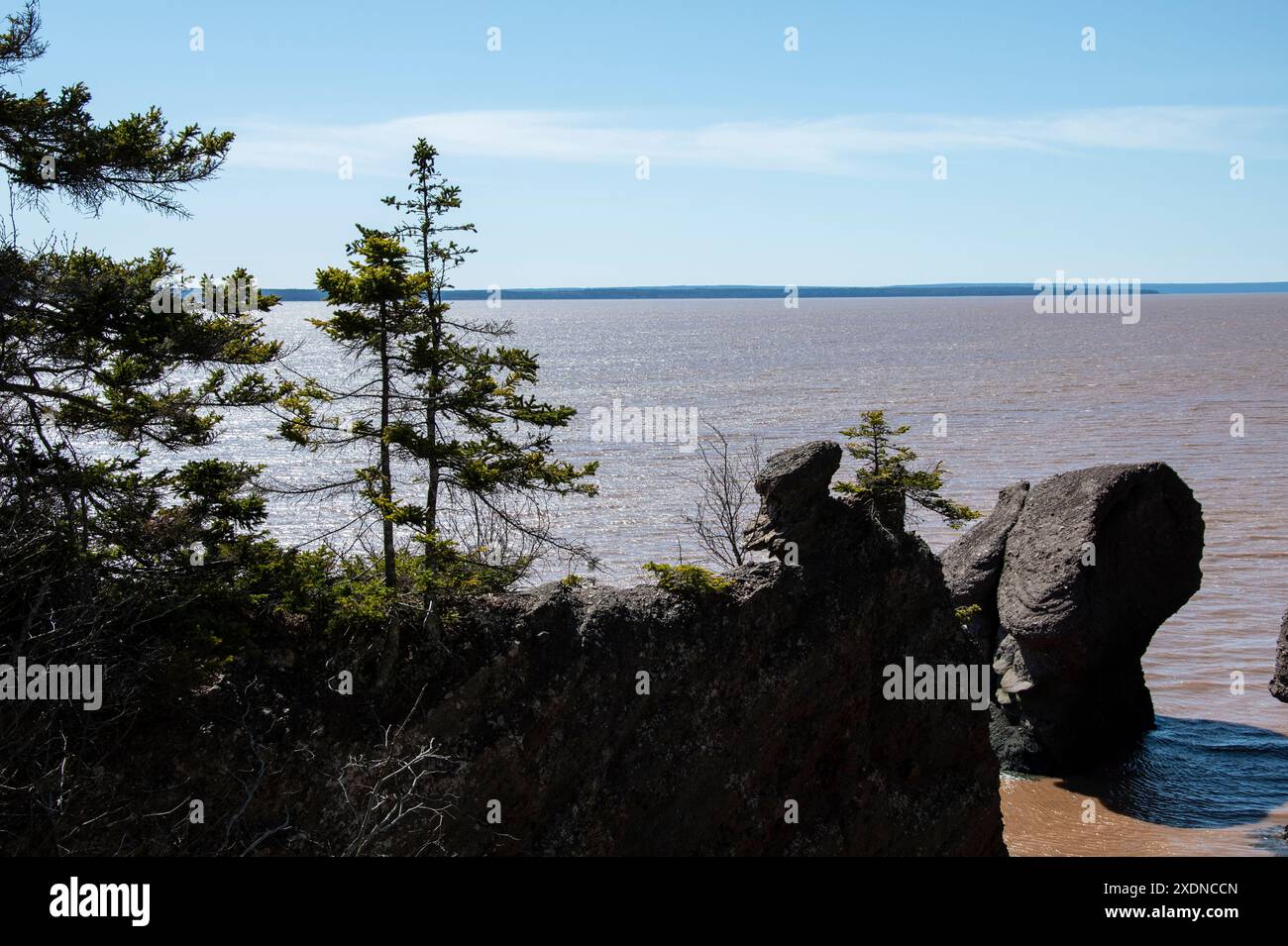 Vasi di fiori di Sea Stacks presso l'Hopewell Rocks Provincial Park di Hopewell Cape, New Brunswick, Canada Foto Stock
