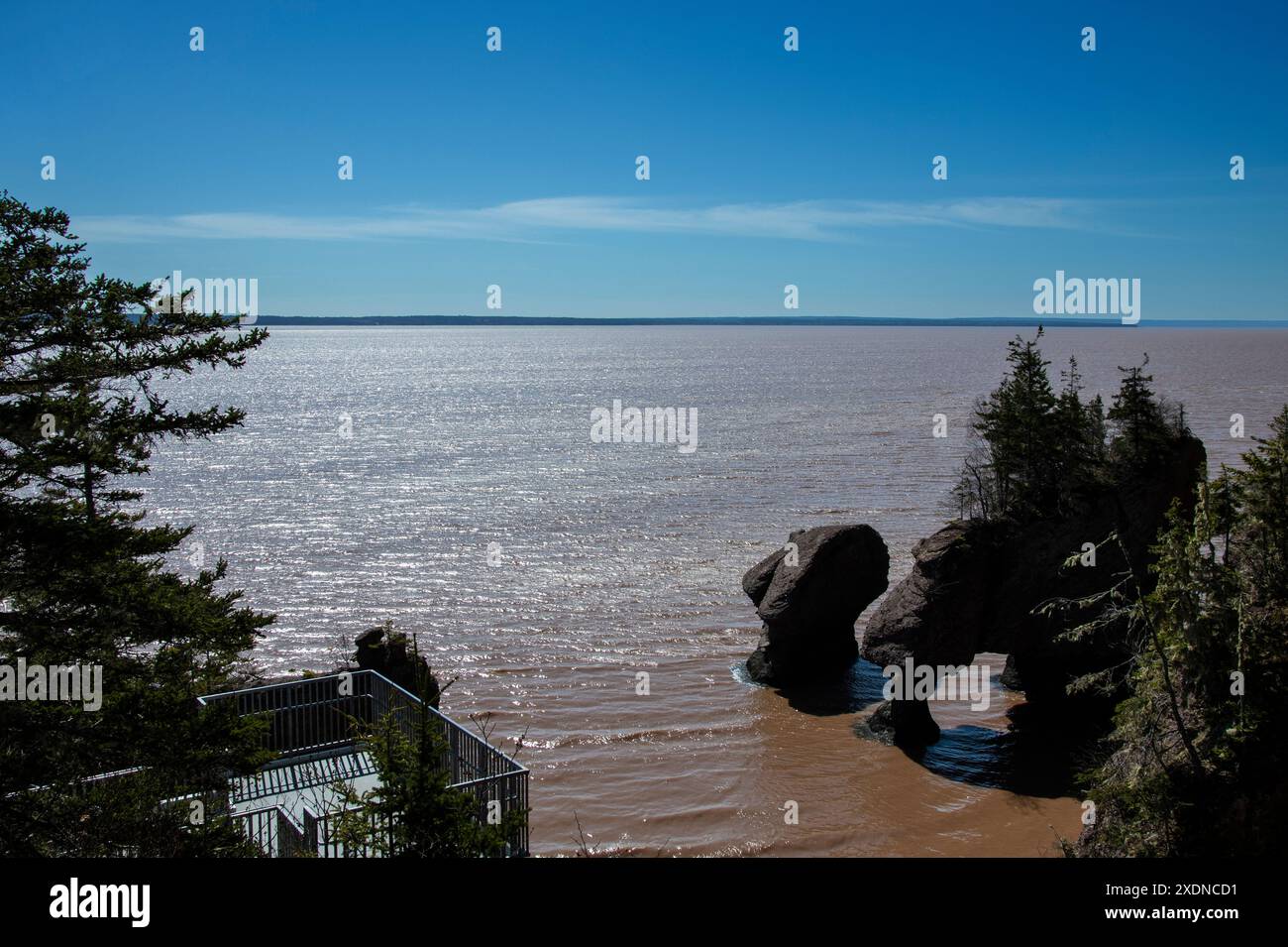 Vasi di fiori di Sea Stacks presso l'Hopewell Rocks Provincial Park di Hopewell Cape, New Brunswick, Canada Foto Stock