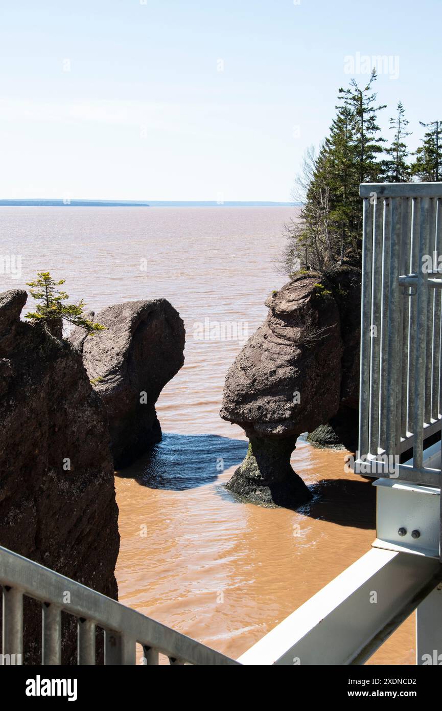 Vasi di fiori di Sea Stacks presso l'Hopewell Rocks Provincial Park di Hopewell Cape, New Brunswick, Canada Foto Stock