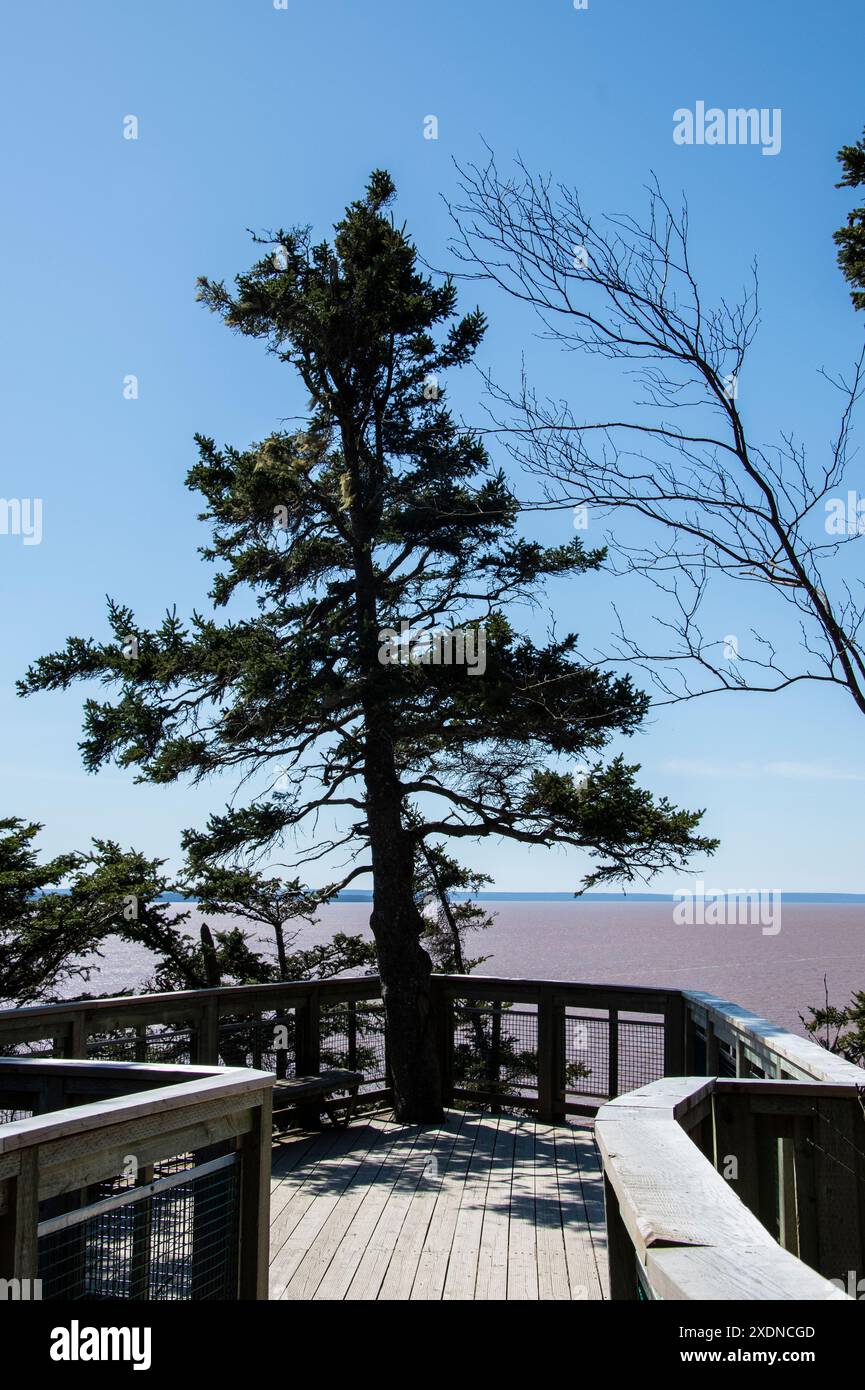 Vista della baia di Fundy all'Hopewell Rocks Provincial Park a Hopewell Cape, New Brunswick, Canada Foto Stock