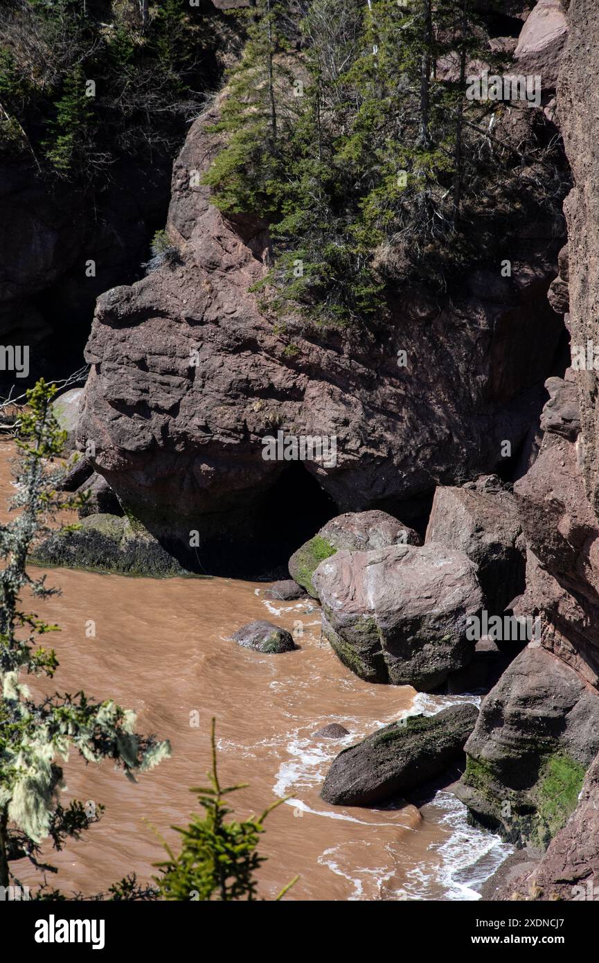 Formazioni rocciose a Big Cove presso l'Hopewell Rocks Provincial Park a Hopewell Cape, New Brunswick, Canada Foto Stock