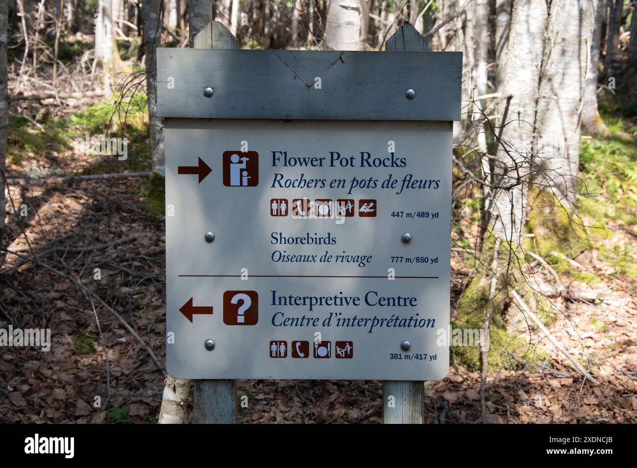 Indicazioni stradali per vari siti presso l'Hopewell Rocks Provincial Park di Hopewell Cape, New Brunswick, Canada Foto Stock