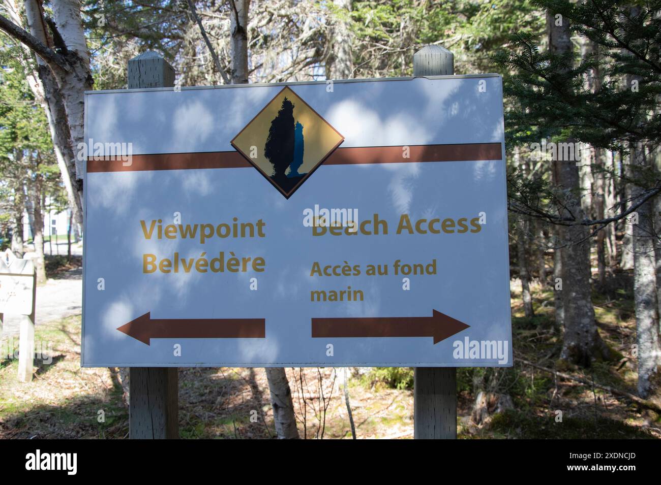 Indicazioni stradali per il punto panoramico e l'accesso alla spiaggia presso l'Hopewell Rocks Provincial Park di Hopewell Cape, New Brunswick, Canada Foto Stock