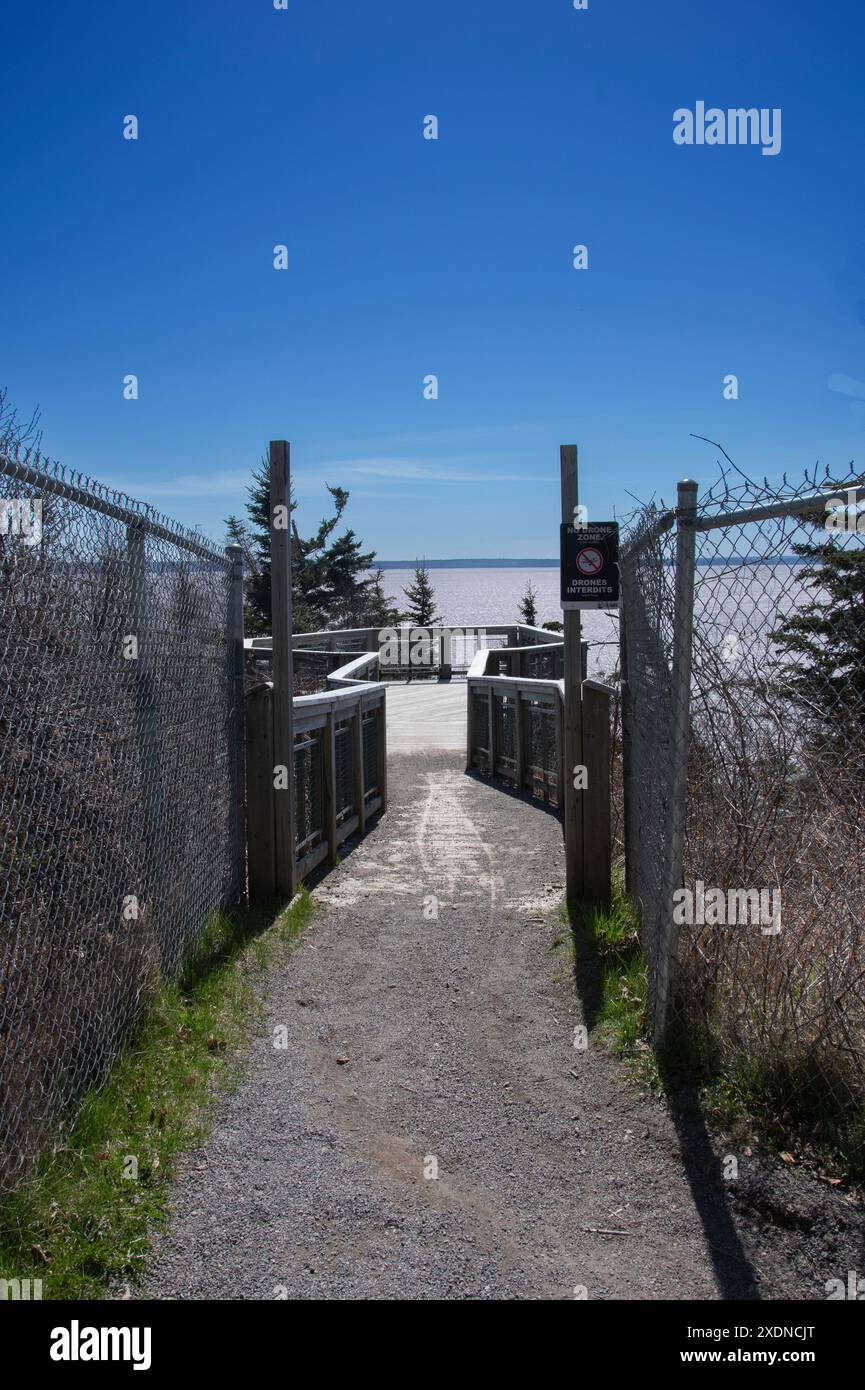 Piattaforma panoramica presso Diamond Rock presso l'Hopewell Rocks Provincial Park a Hopewell Cape, New Brunswick, Canada Foto Stock