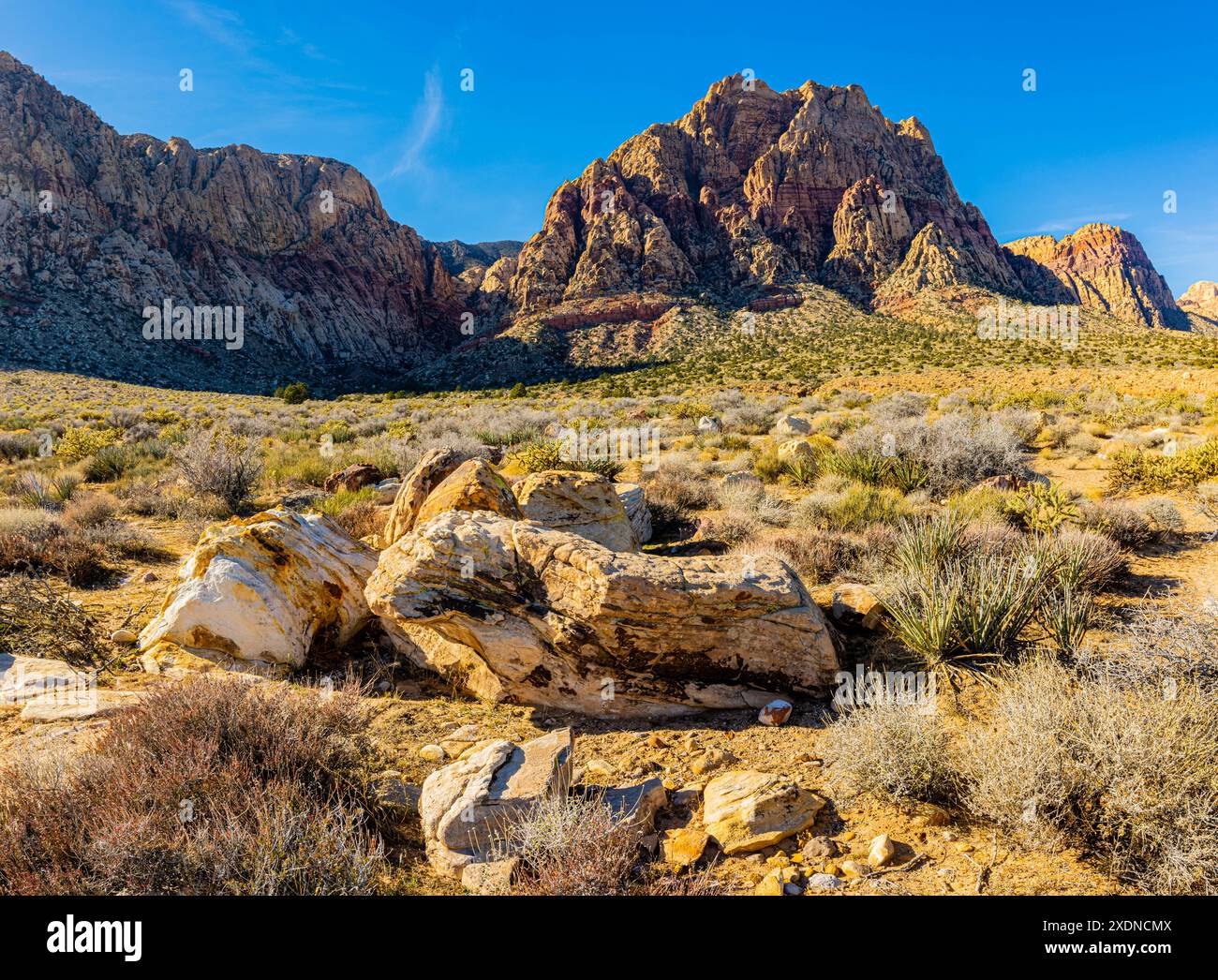 Arenaria Boulders e Mt. Wilson on the First Creek Trail, Red Rock Canyon National Conservation area, Mountain Springs, Nevada USA Foto Stock
