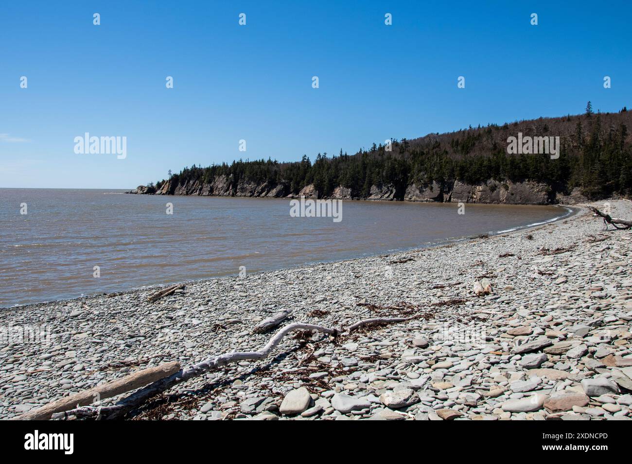 Pebble Beach su Cape Enrage Road a Waterside, New Brunswick, Canada Foto Stock