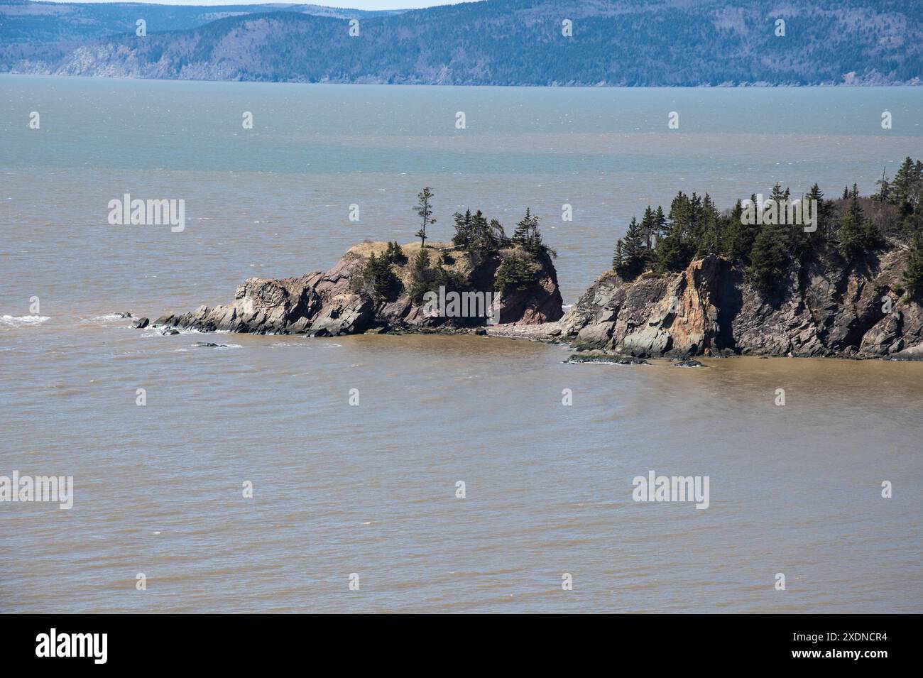 Vista della Baia di Fundy da Cape Enrage a Waterside, New Brunswick, Canada Foto Stock