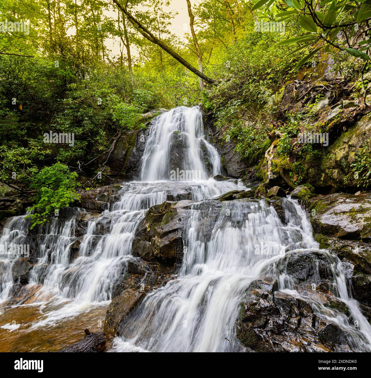 Cascate di Upper Laurel su Cove Mountain, Great Smoky Mountains National Park, Tennessee, Stati Uniti Foto Stock