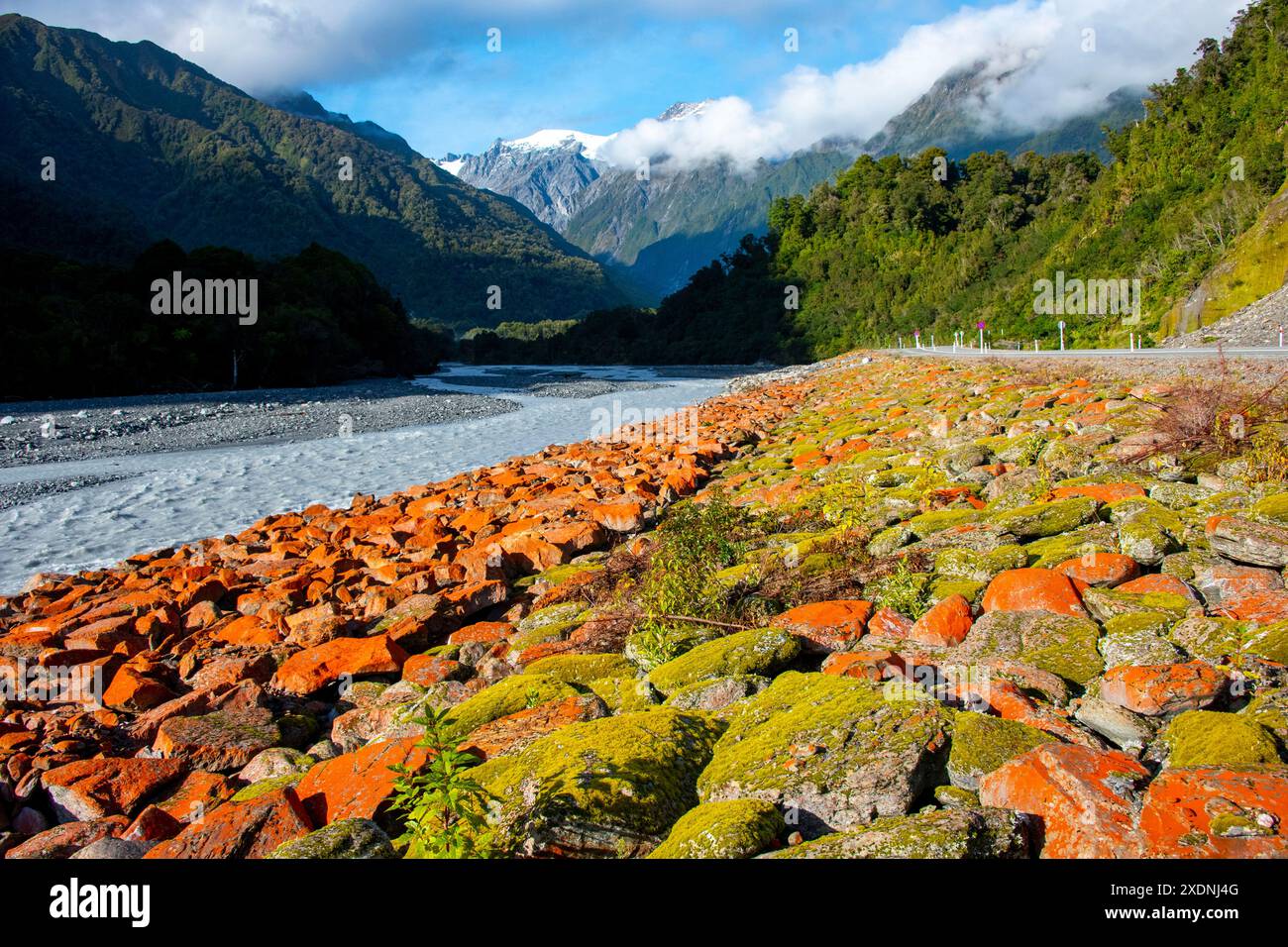 Waiho River - nuova Zelanda Foto Stock