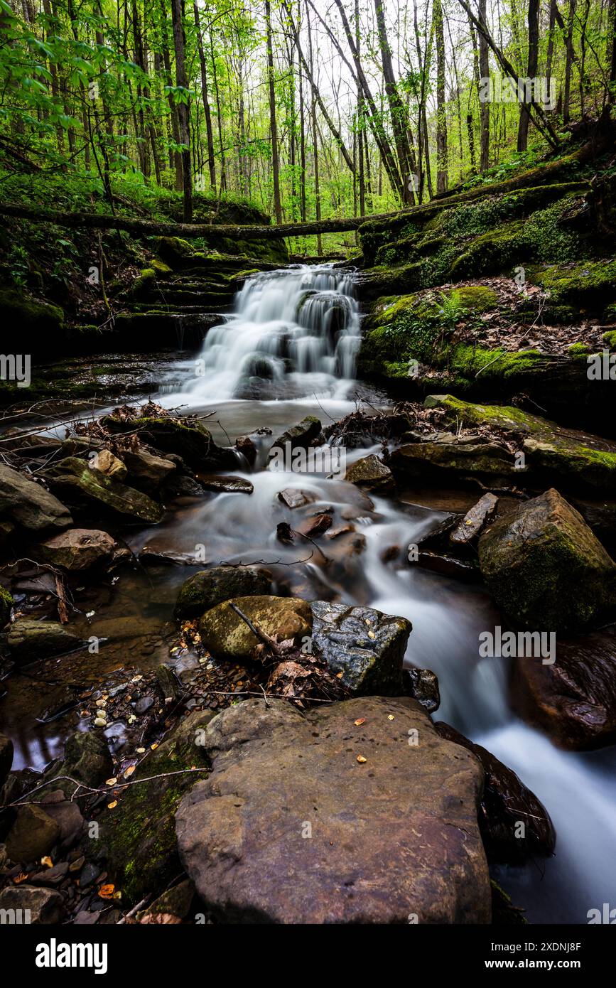 Cascata in West Virginia Foto Stock