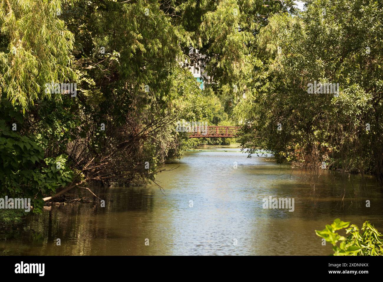 Scopri il pittoresco paesaggio vicino al lago Lady Bird ad Austin, Texas. Questa foto cattura un tranquillo ponte pedonale incorniciato da un verde lussureggiante Foto Stock