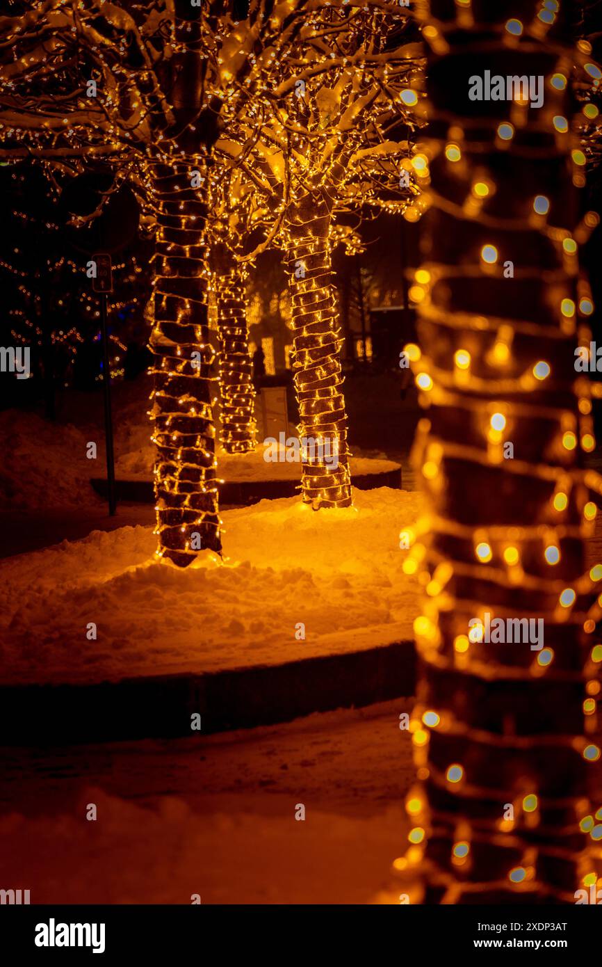 Uno splendido scenario invernale di alberi iluminati nelle strade della città in Lettonia. Decorazioni natalizie invernali nel Nord Europa. Foto Stock