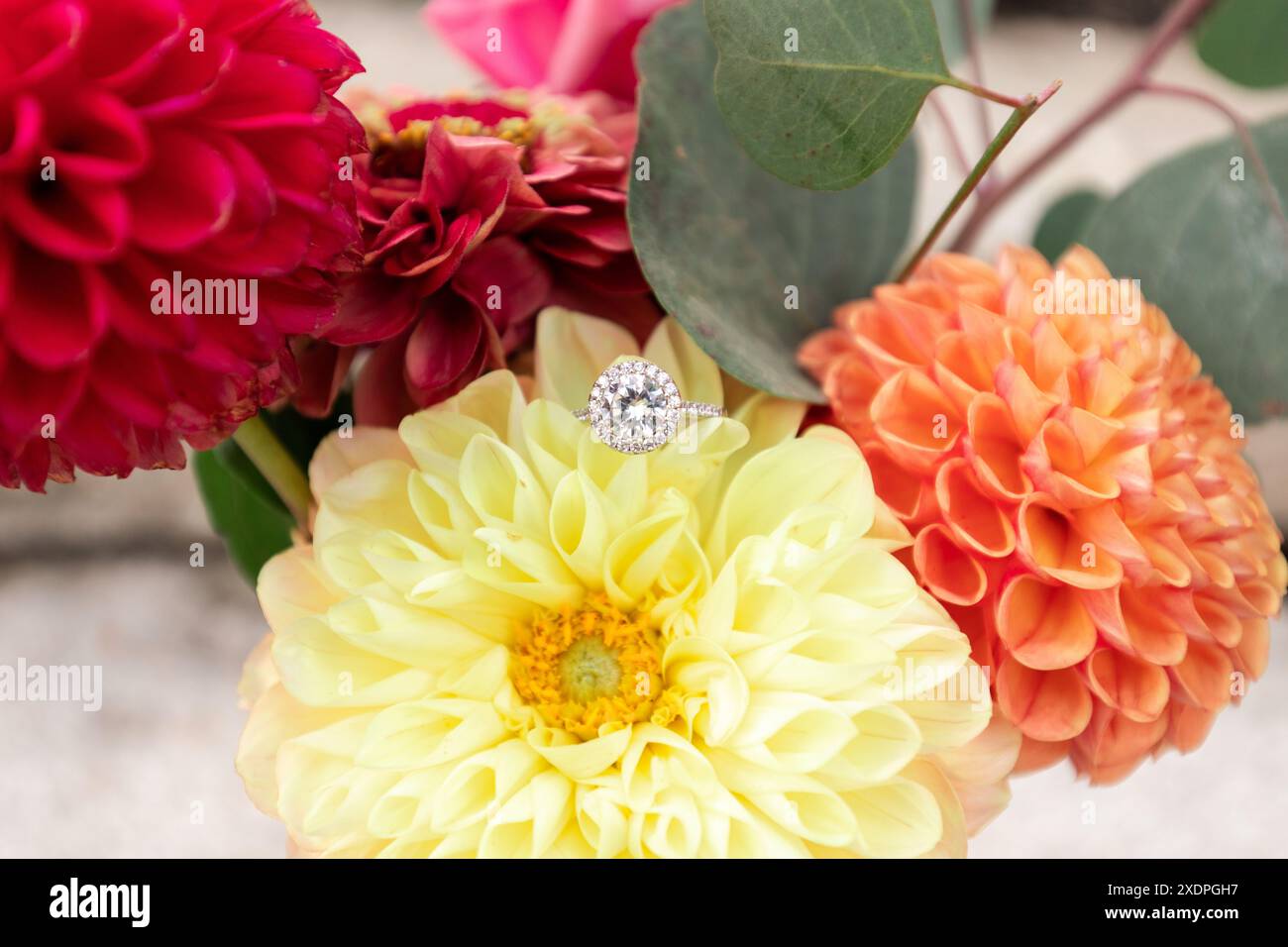 Primo piano di un anello di diamanti su un vivace bouquet dahlia Foto Stock