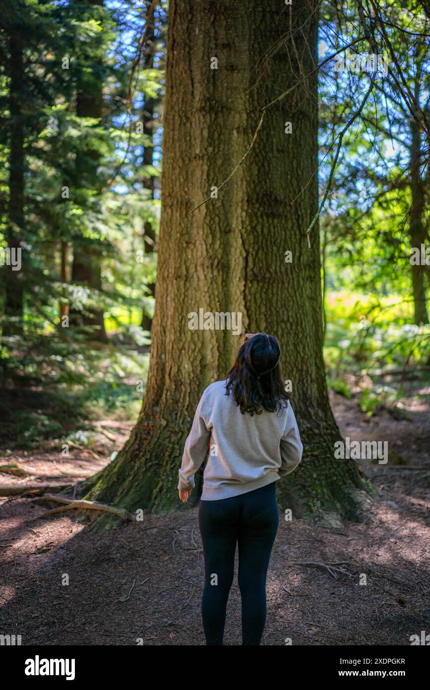 Giovane donna che guarda un antico albero nella foresta Foto Stock