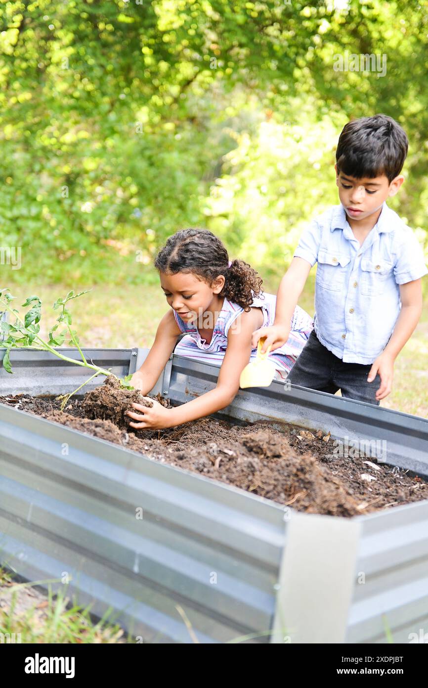 I bambini sono felici di piantare le piantine nei letti del giardino all'aperto. Foto Stock