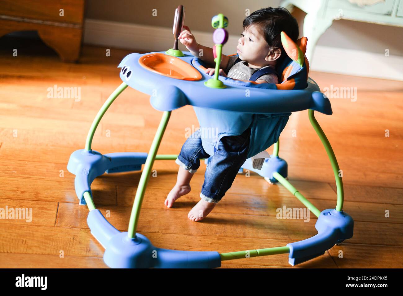 Bambino in un camminatore che gioca con i giocattoli su un pavimento di legno. Foto Stock