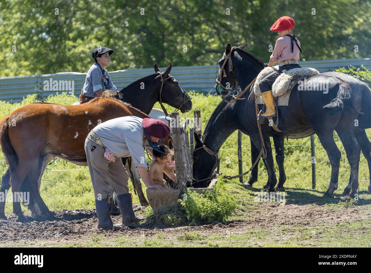 San Antonio de areco creollos Horse dia de la Tradition Tradition Festival, provincia di Buenos Aires Foto Stock