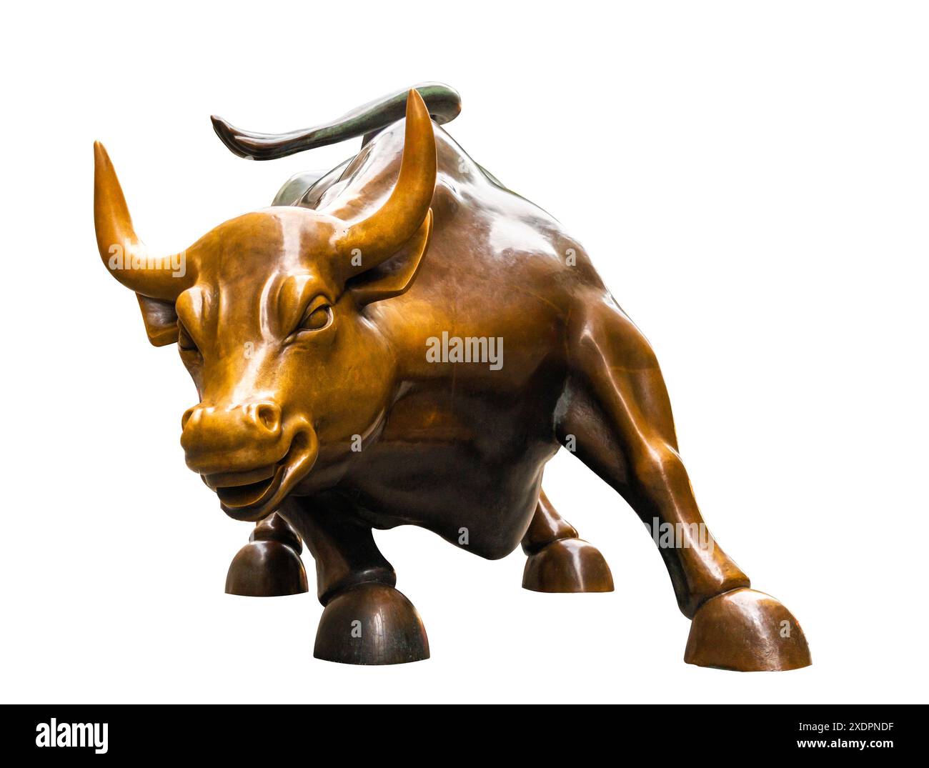 Toro in bronzo metallico isolato su sfondo bianco Foto Stock