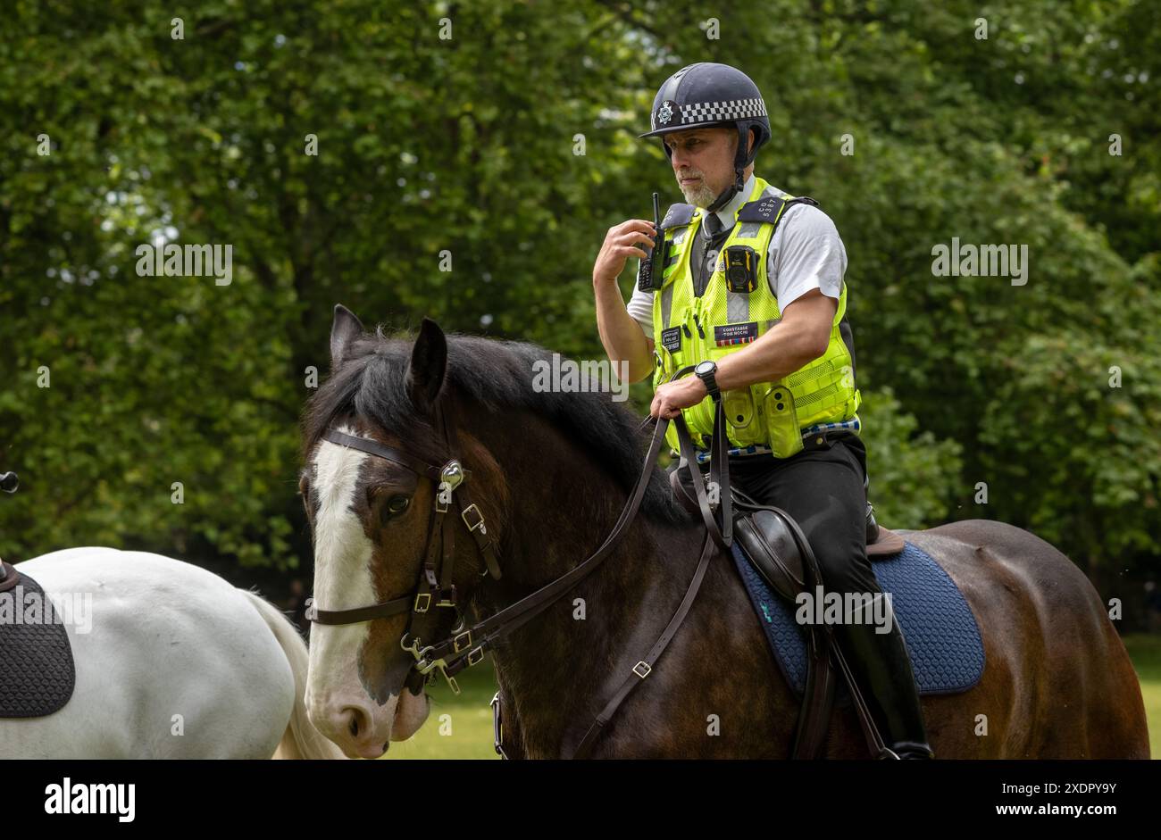 Un ufficiale della polizia metropolitana a cavallo e il suo cavallo della Metropolitan Police Mounted Branch che fa esercitazioni a Green Park, Londra, Regno Unito. Foto Stock