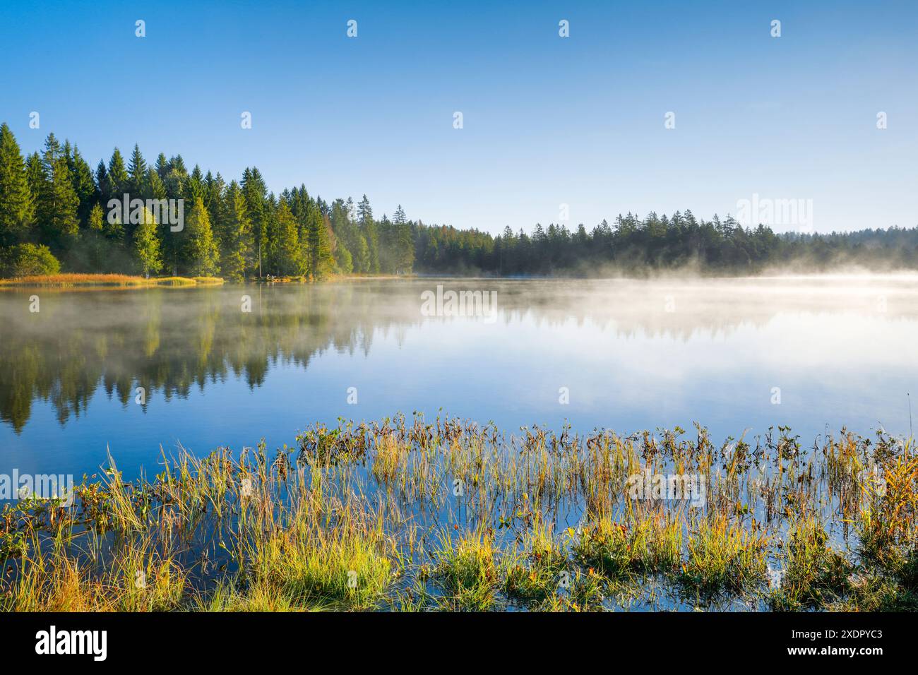 Geografia / viaggi, Svizzera, nebbia sul lago paludoso Etang de la Gruere nel Canton Giura, USO NON ESCLUSIVO PER BIGLIETTI-AUGURI-BIGLIETTI-CARTOLINE-BIGLIETTI-CARTOLINE Foto Stock