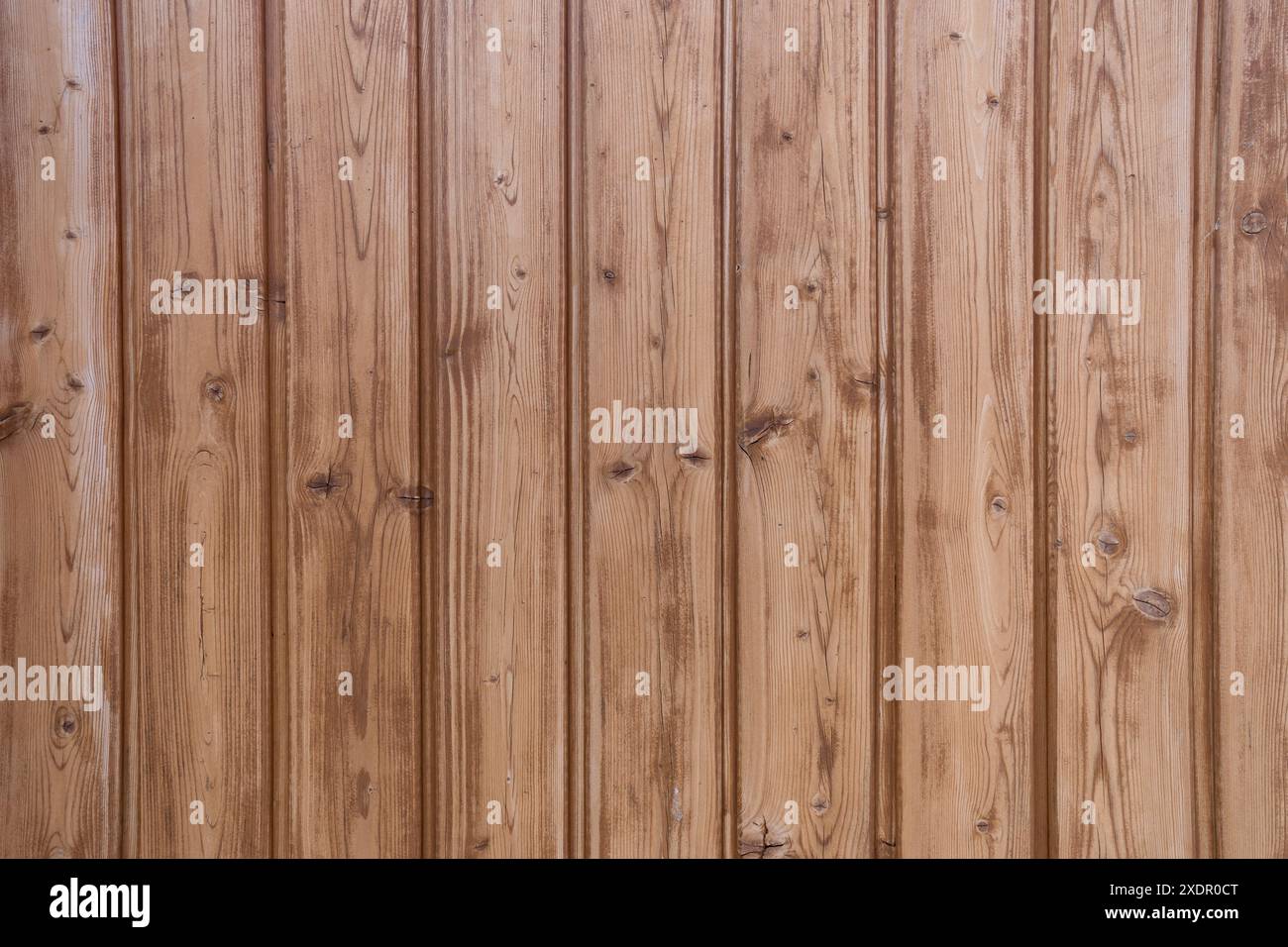 Sfondo con pannelli di legno chiaro Foto Stock