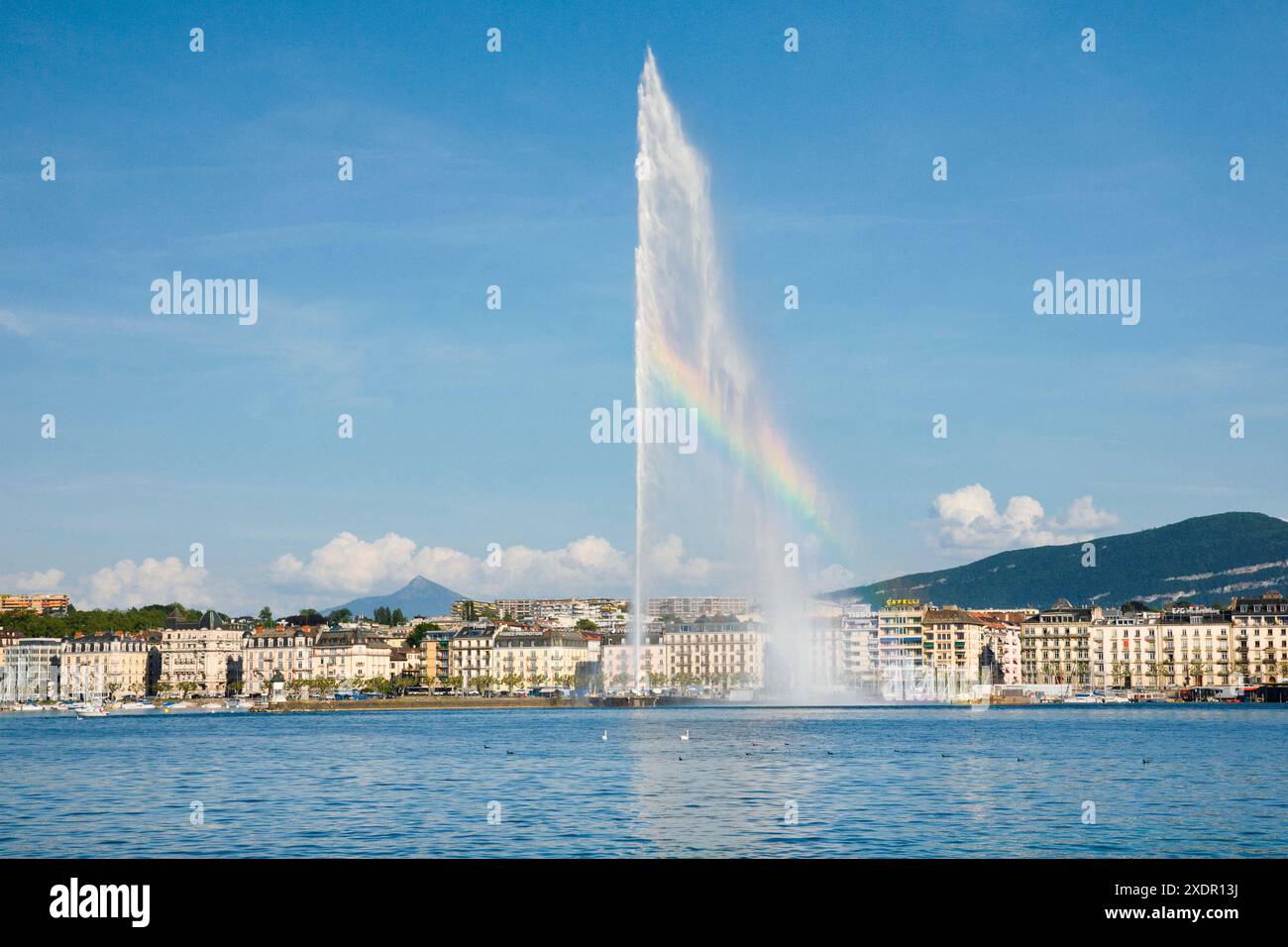 Geografia / viaggi, Svizzera, il Jet d'eau, punto di riferimento del bacino del lago di Ginevra, USO NON ESCLUSIVO PER BIGLIETTI-AUGURI-BIGLIETTI-CARTOLINE-CARTOLINE Foto Stock