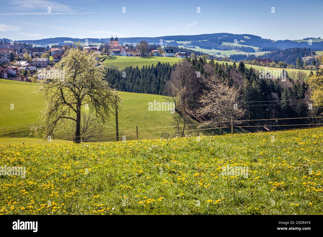 Geografia / viaggi, Germania, Baden-Wuerttemberg, San Pietro in alta Foresta Nera, ULTERIORI DIRITTI-AUTORIZZAZIONE-INFO-NON-DISPONIBILI Foto Stock