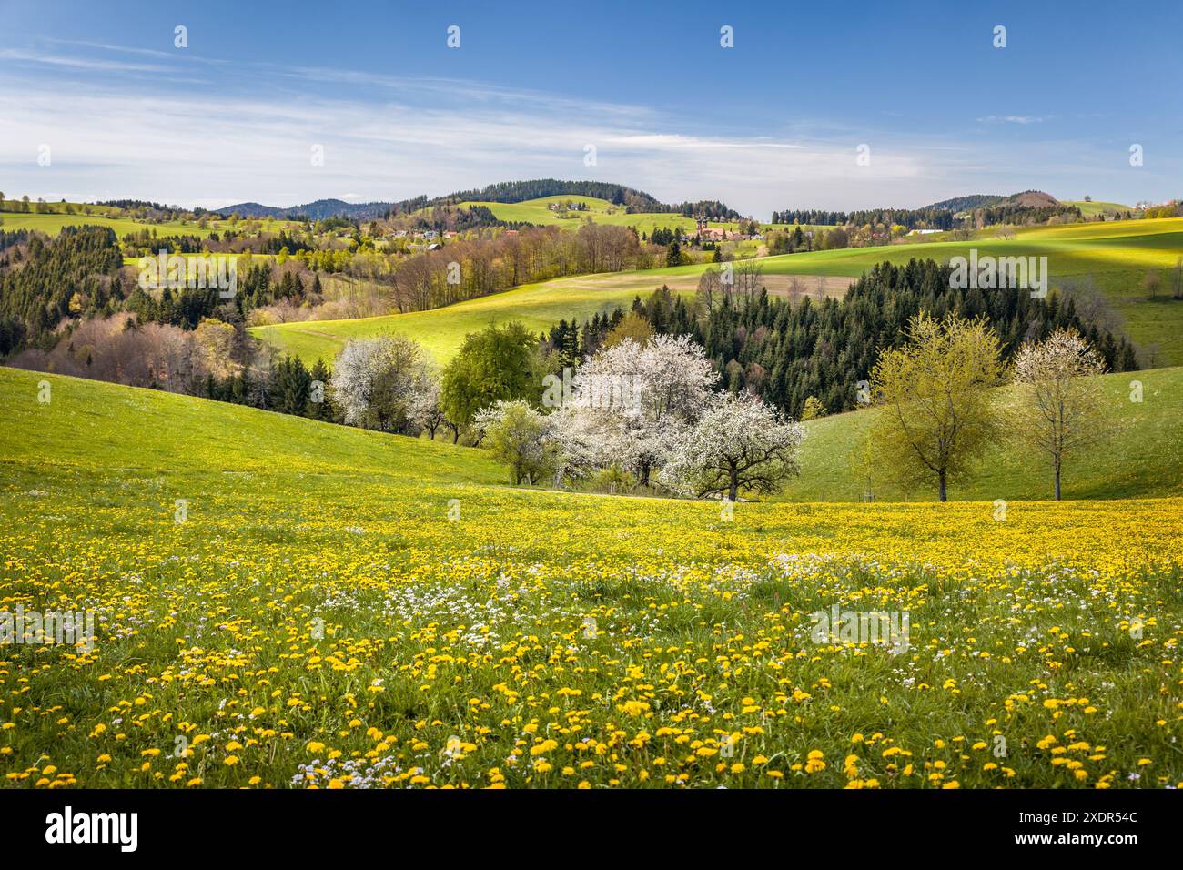 Geografia / viaggi, Germania, Baden-Wuerttemberg, vista a San Pietro in alta Foresta Nera, ULTERIORI DIRITTI-AUTORIZZAZIONE-INFO-NON-DISPONIBILI Foto Stock