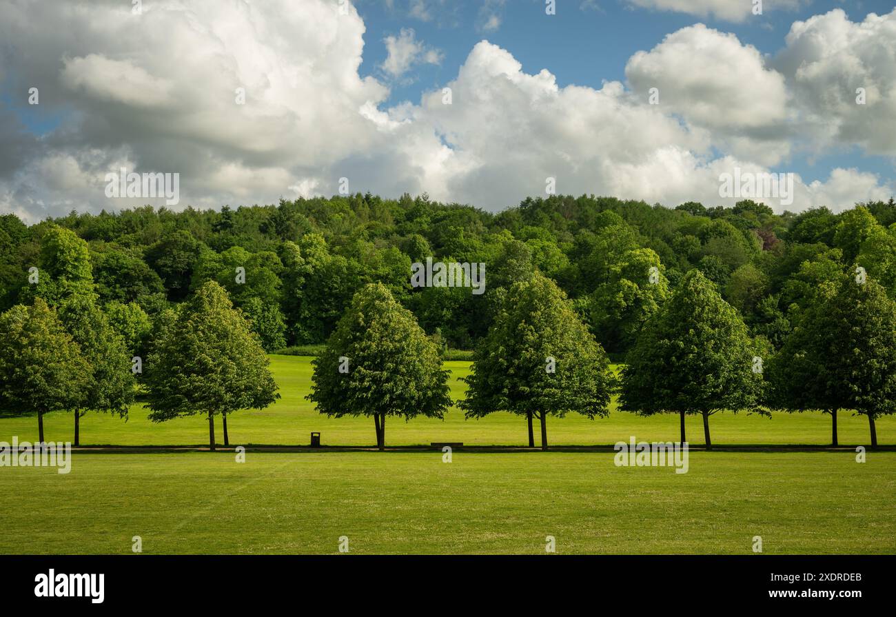Priory Park a Reigate, Surrey, Regno Unito. Questo parco pubblico si trova vicino al centro di Reigate e offre boschi, aree erbose, un lago e strutture per i visitatori Foto Stock