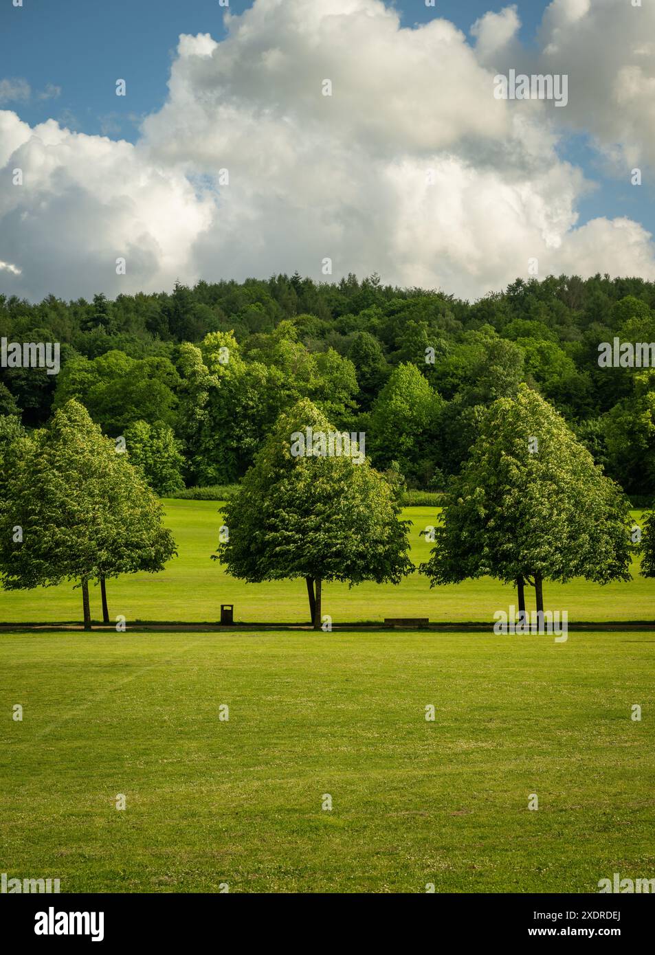 Priory Park a Reigate, Surrey, Regno Unito. Questo parco pubblico si trova vicino al centro di Reigate e offre boschi, aree erbose, un lago e strutture per i visitatori Foto Stock