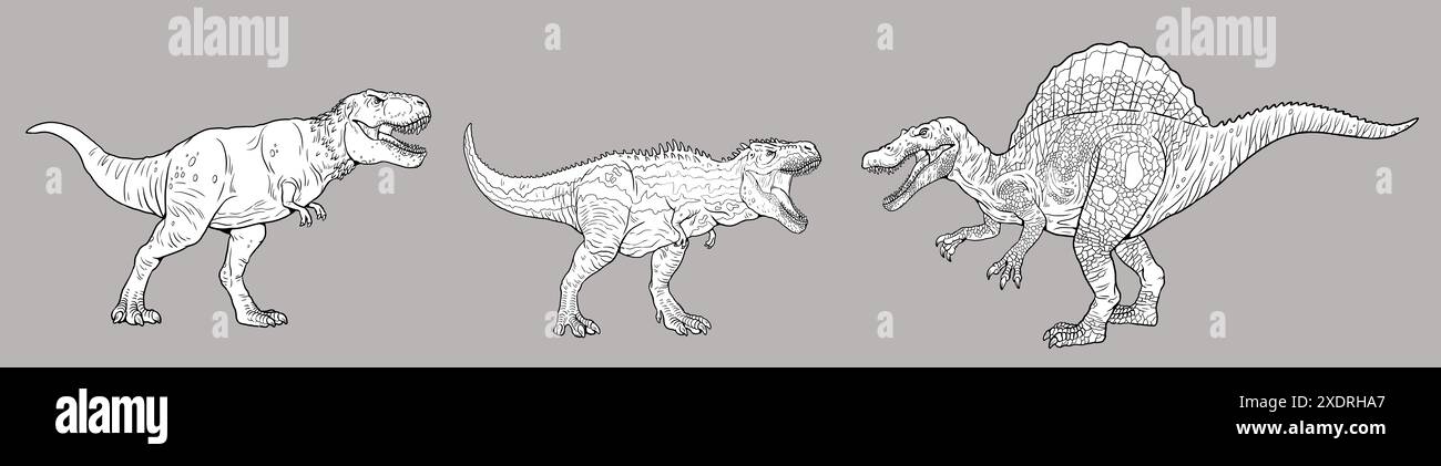 Modello di libro da colorare con dinosauri carnivori. Tyrannosaurus rex, Tarbosaurus e Spinosaurus. Foto Stock