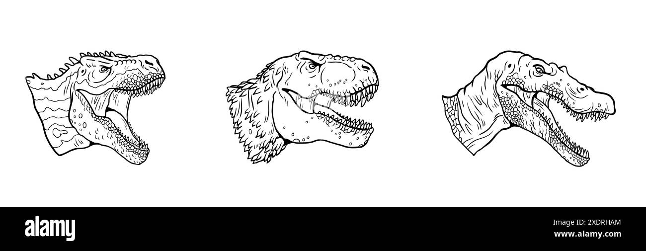 Capi di dinosauri predatori. Tyrannosaurus rex, Tarbosaurus e Spinosaurus. Modello di libro da colorare con dinosauri carnivori. Foto Stock
