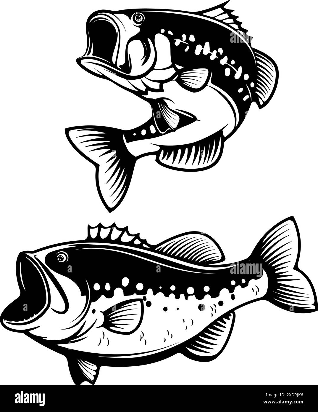 Sagome di pesce di spigola isolate su sfondo bianco. Elementi di design per logo, etichetta, emblema per club di pesca. Illustrazione vettoriale. Illustrazione Vettoriale