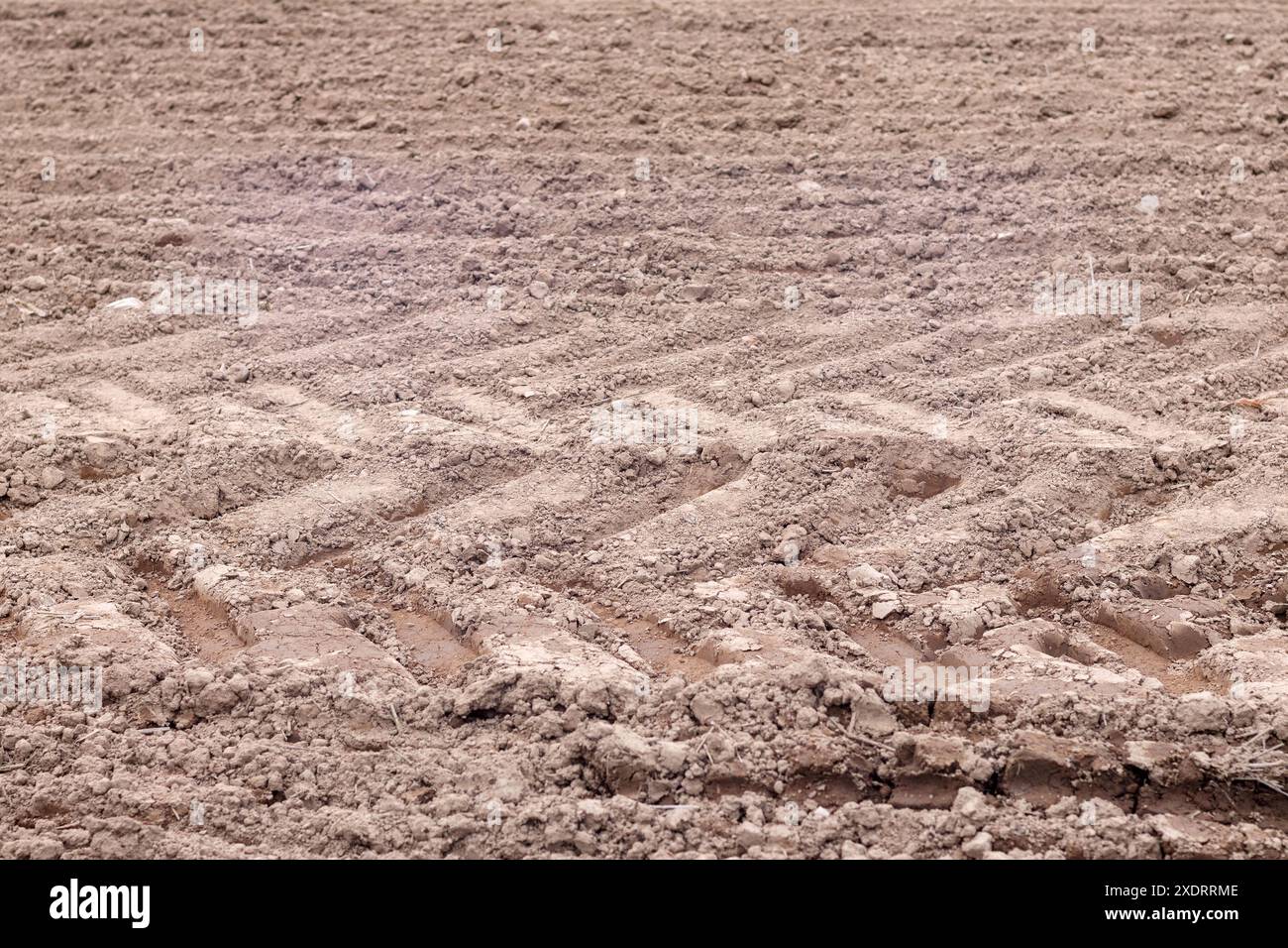 cingoli di pneumatici del trattore a terra Foto Stock