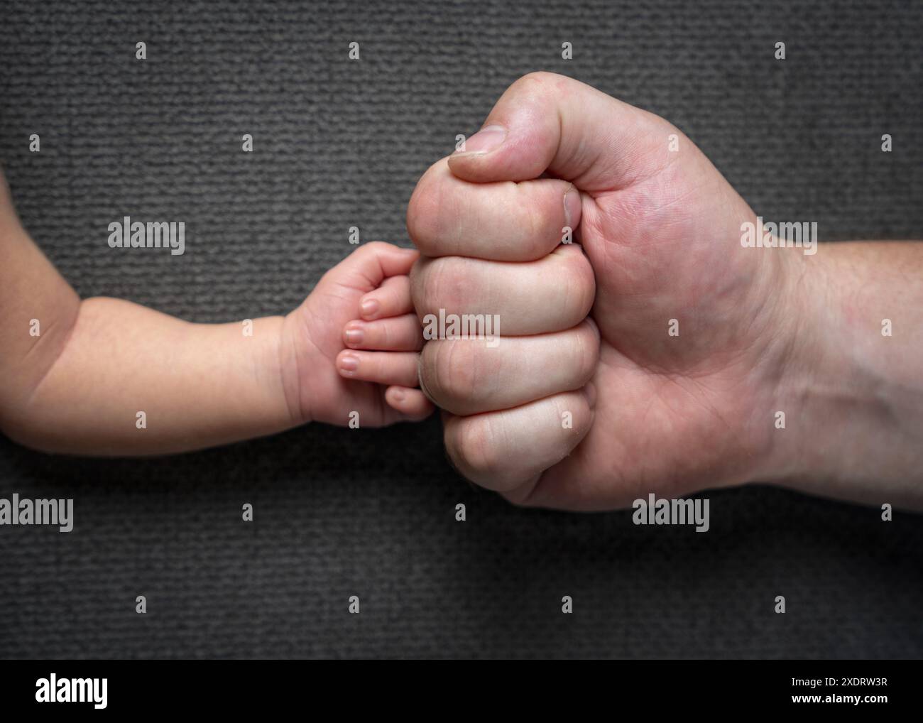 Pugno di papà grande e pugno del neonato su sfondo grigio. La cura e l'amore di mio padre Foto Stock