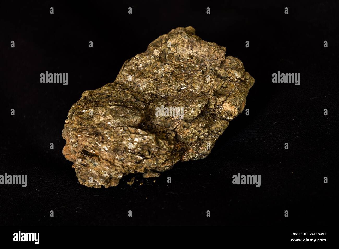 Un campione di scisto biotite color oro su sfondo nero. Foto Stock