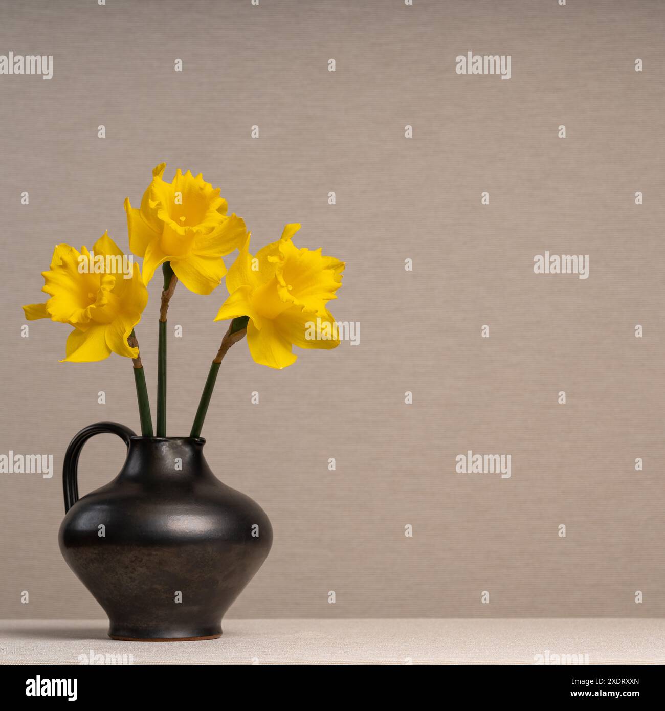 Bouquet di fiori primaverili gialli. Narcisi in vaso trasparente in vetro marrone chiaro. Sfondo grigio chiaro. Umore gioioso. Foto Stock