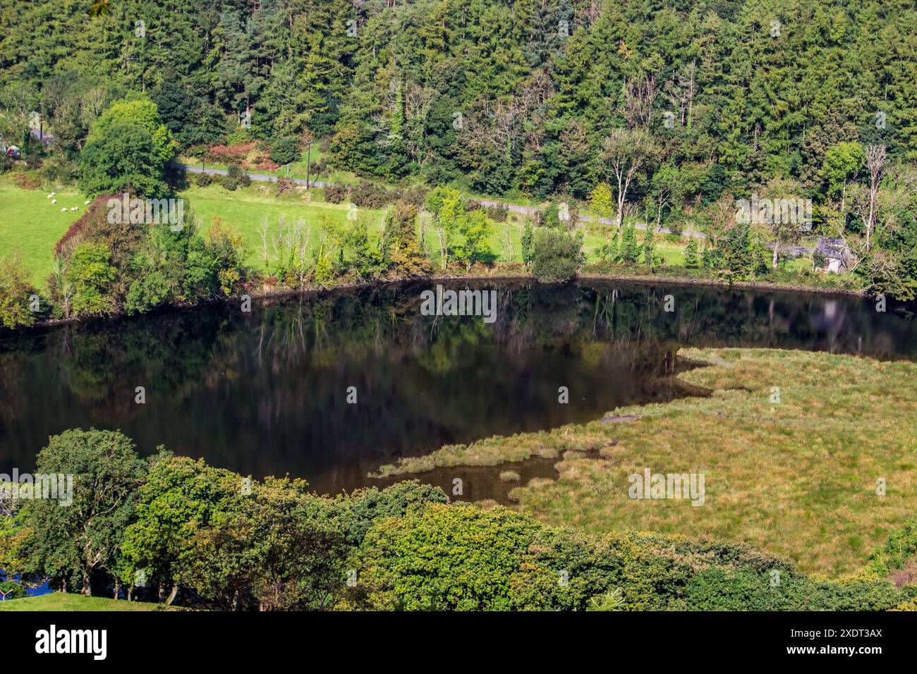 Riflessi delle rive boscose del fiume nelle acque scure del fiume Rheidol in Galles. Foto Stock