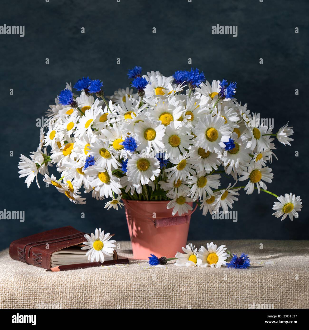 Natura morta estiva. Un grande bouquet di margherite e fiori di mais in un secchio rosa. Nelle vicinanze si trovano un quaderno e una matita su sfondo blu. Foto Stock