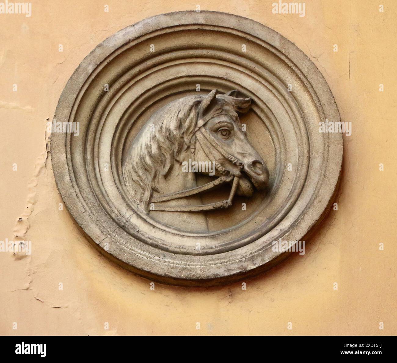 Scultura a rilievo in pietra di una testa di cavallo accanto all'ingresso dell'edificio de las caballerizas Oviedo Asturias Spagna Foto Stock