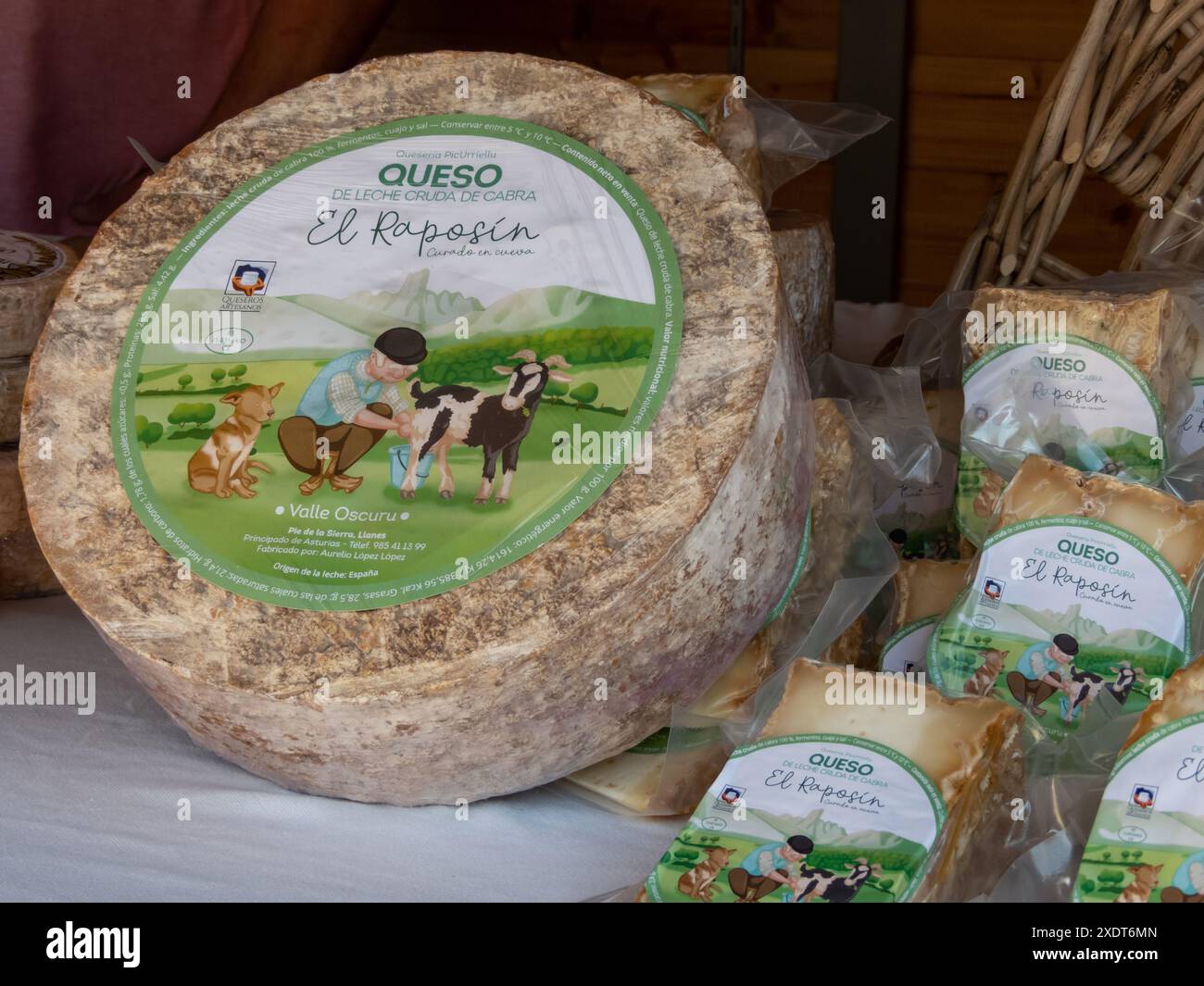 OVIEDO, SPAGNA - 10 MAGGIO 2024: Forma di formaggio El Raposin ottenuto da latte di capra non pastorizzato nella giornata della Fiera dell'Ascensione a Oviedo, Asturie, Spagna. Foto Stock