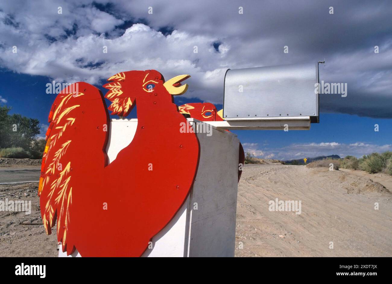 Cassetta postale argentata in stile retrò su palo in legno con gallo rosso in legno Foto Stock