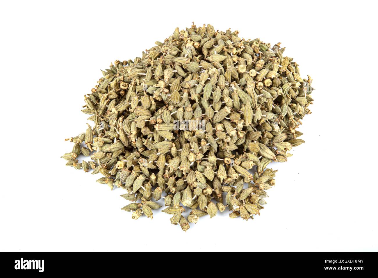 L'okra essiccato al sole (Abelmoschus esculentus) noto anche come dita della signora è una pianta in fiore della famiglia malva. Vista della verdura di okra secca appesa i. Foto Stock