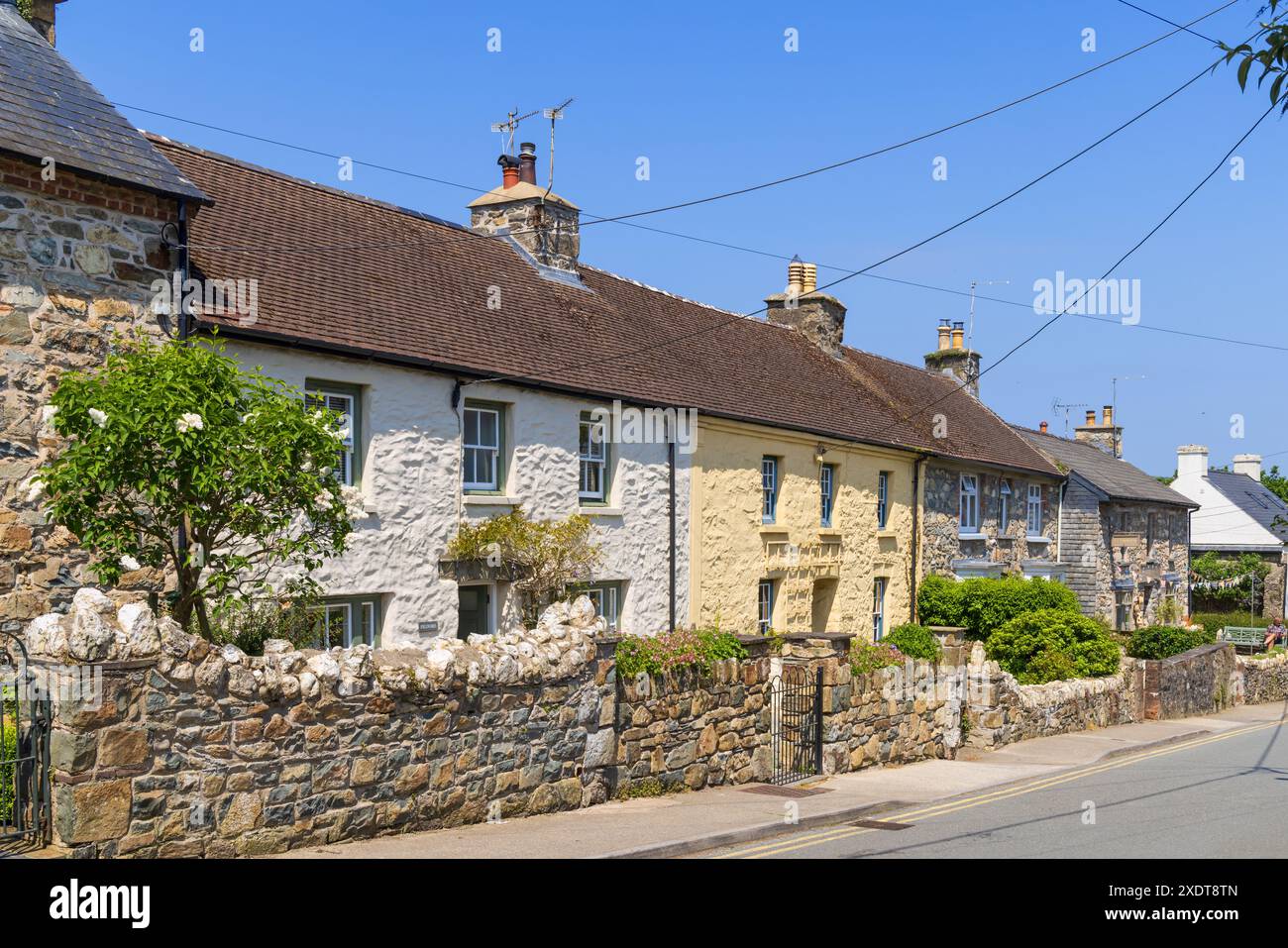 Fila di attraenti cottage in pietra gallese a Long Street, Newport, Pembrokeshire. Galles, Regno Unito Foto Stock