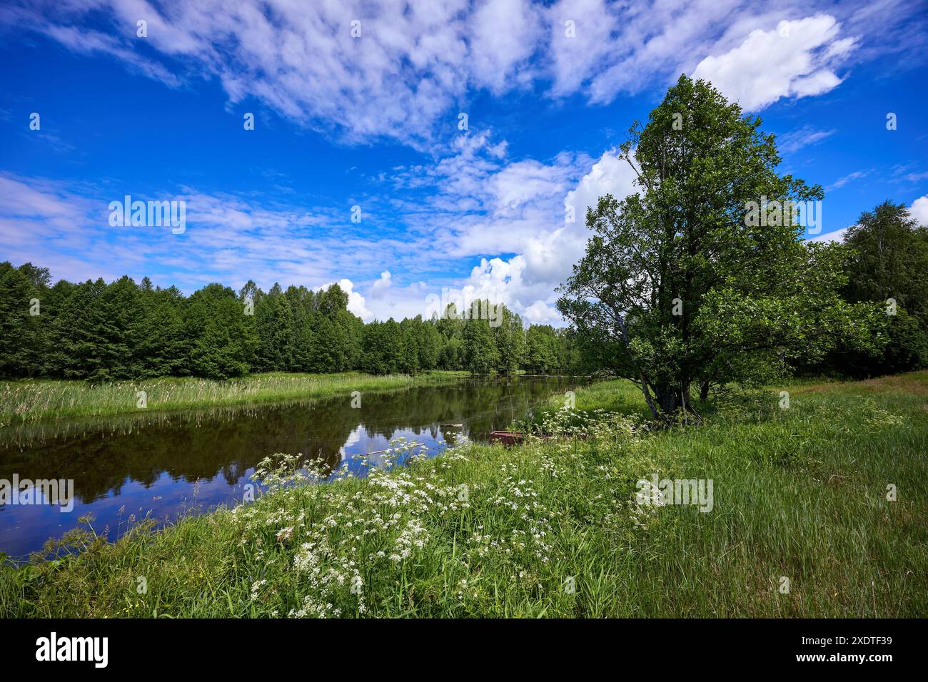 Bel paesaggio estivo del fiume nelle giornate di sole con cielo e nuvole che si riflettono nell'acqua Foto Stock