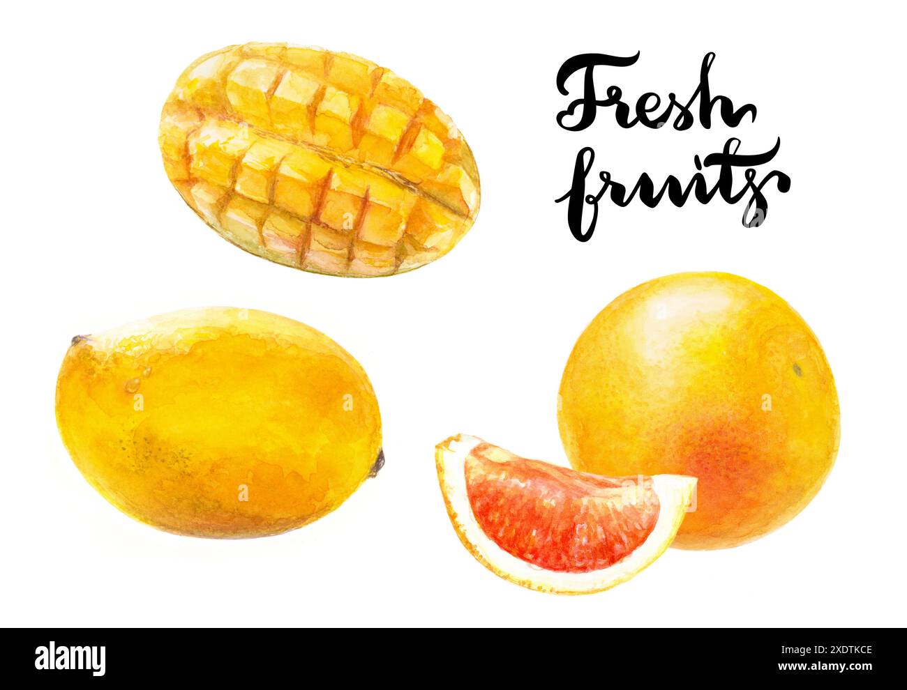 Frutta fresca tropicale come mango e pompelmo cibo estivo luminoso e salutare Foto Stock Frutta fresca tropicale come mango e pompelmo cibo estivo luminoso e salutare Foto Stock