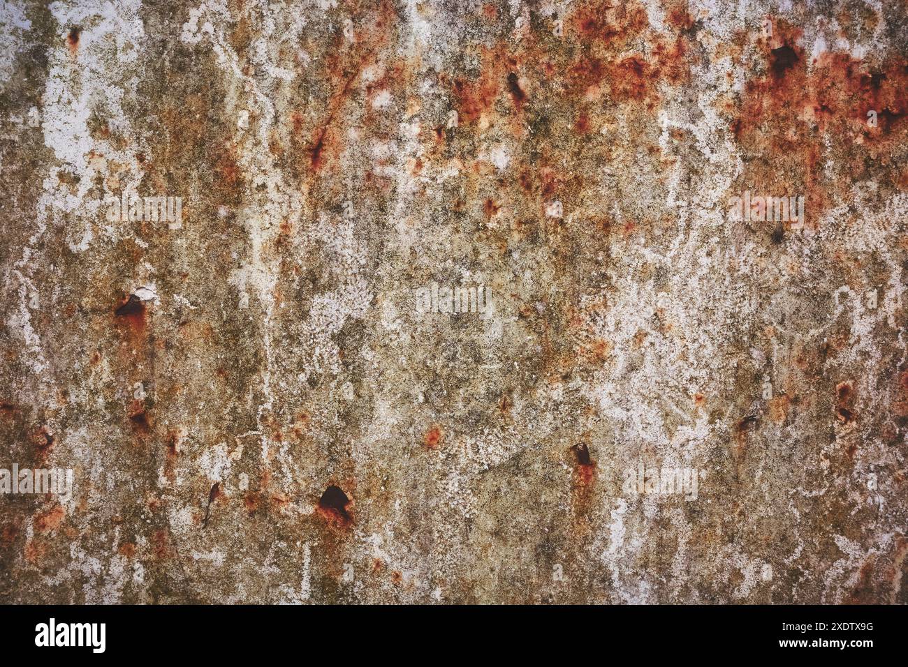 Grunge lo sfondo in metallo arrugginito o la trama. Foto Stock
