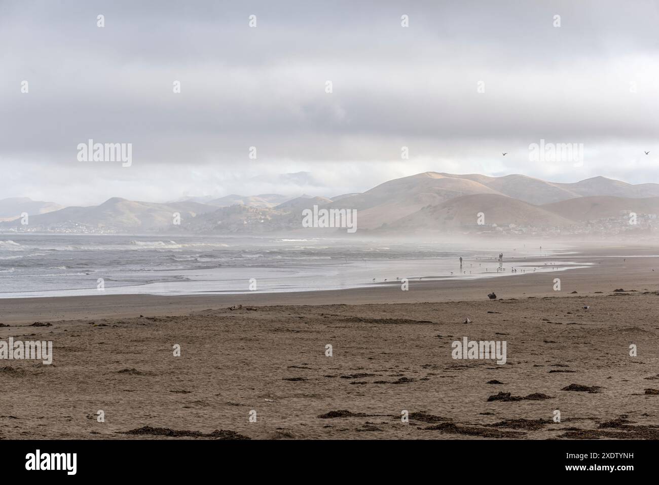 Da Morro Rock Beach. Morro Bay, California. Foto Stock