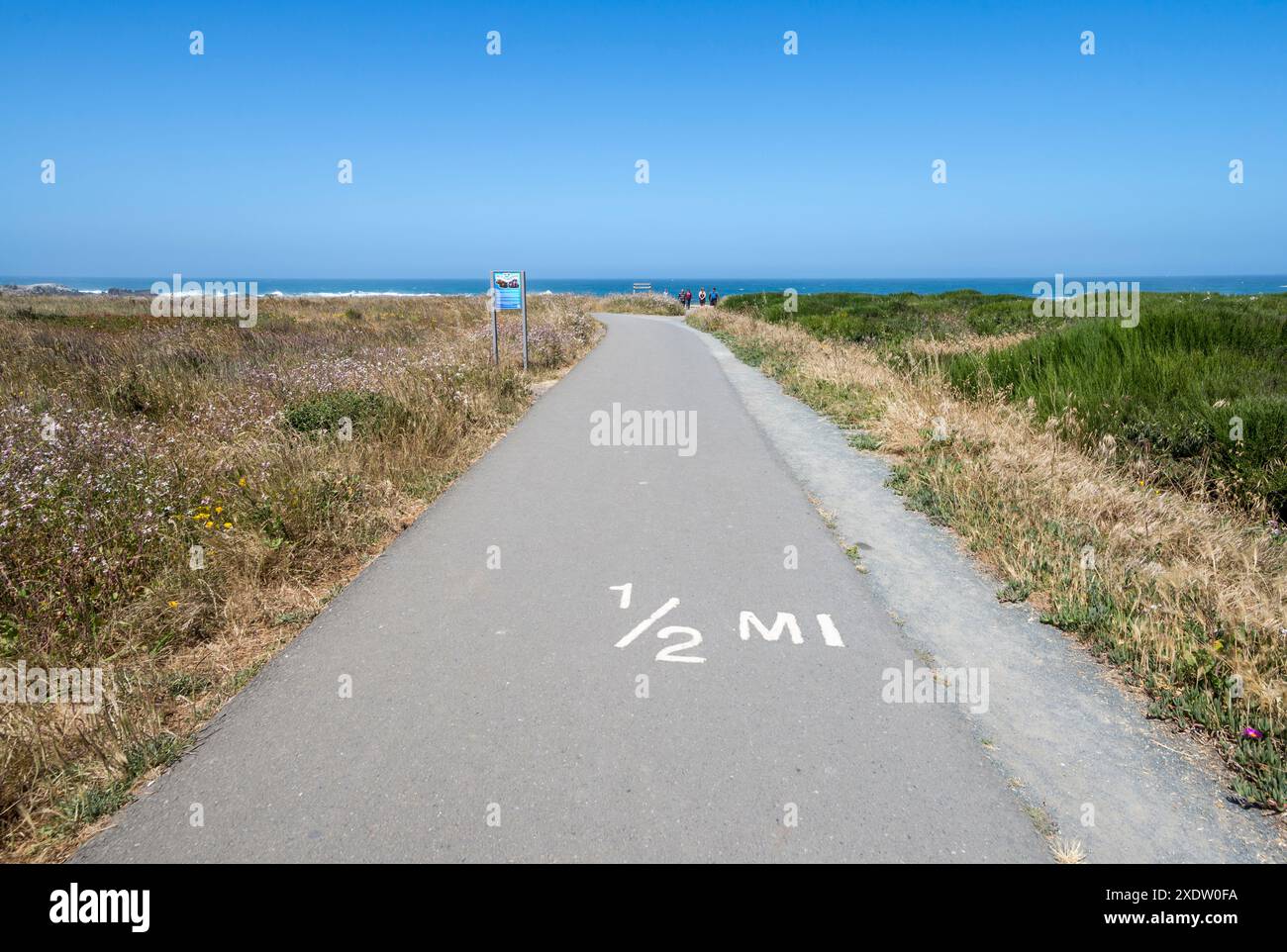 Percorso che conduce a Glass Beach. Fort Bragg, California. Foto Stock